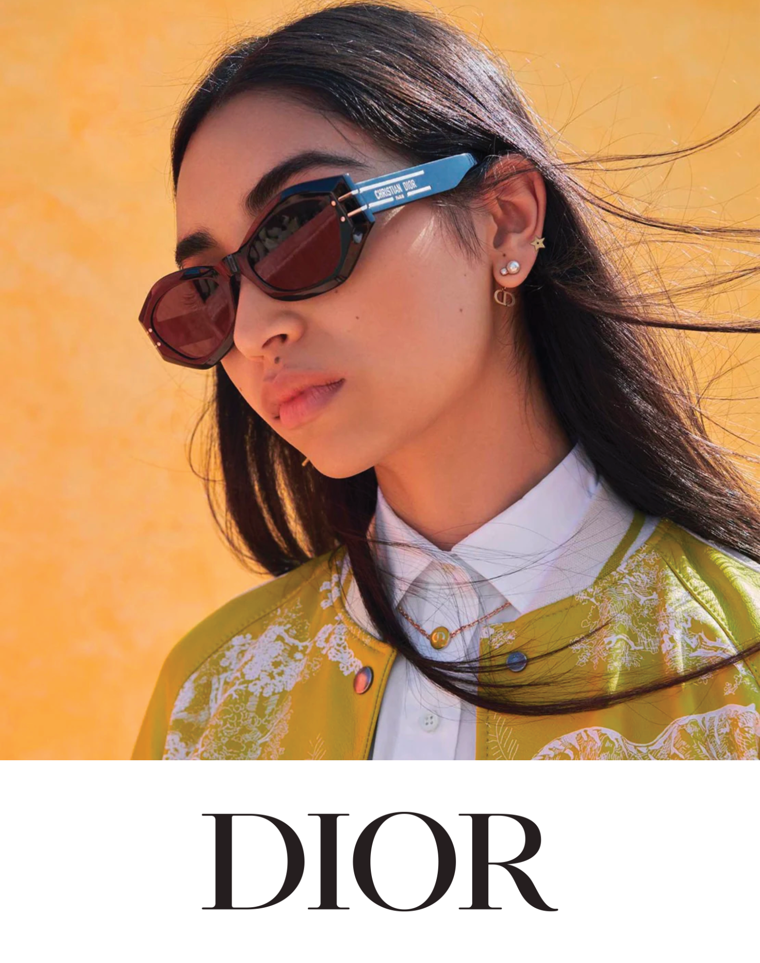 dior 2